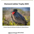 Diamond Jubilee Trophy cat 2025 Cover A