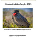 Diamond Jubilee Trophy cat 2025 Cover C