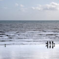 Gravesend C.C THE DOG WALKERS by Mick Batcheldor LRPS CPAGB