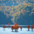 Invicta AUTUMN ON THE OCOEE RIVER by Chas Bedford LRPS CPAGB