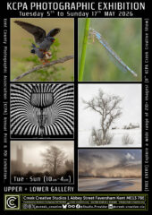 KCPA Print and PDI Exhibition 2026 @ Creek Creative Studios